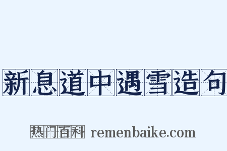 新息道中遇雪造句是什么意思的图片
